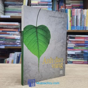 Ánh Đạo Vàng - Võ Đình Cường (Sách Cũ)