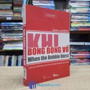 Khi Bong Bóng Vỡ - Làm Sao Để Sống Sót Sau Khủng Hoảng Tài Chính? (Sách cũ)