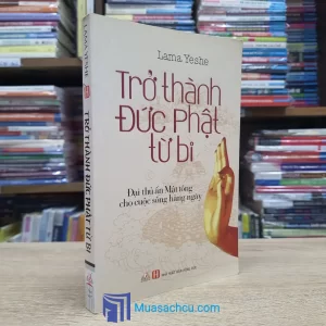 Trở Thành Đức Phật Từ Bi - Đại Thủ Ấn Mật Tông Cho Cuộc Sống Hằng Ngày (Sách cũ)