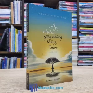 An Nhiên Giữa Những Thăng Trầm (Sách cũ)