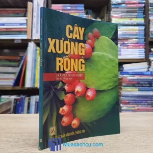Cây Xương Rồng - Dương Ngọc Hiệp (Sách cũ)