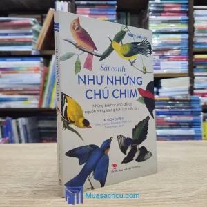 Sải Cánh Như Những Chú Chim (Sách cũ)