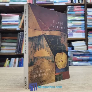 The Weather In Iceland - David Profumo (used)
