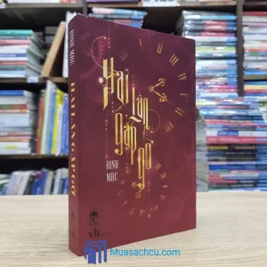 Hai Lần Gặp Gỡ - Đinh Mặc (Sách cũ)